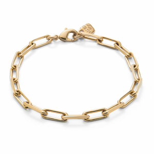 Браслет PUL2503 M Зол. цв.